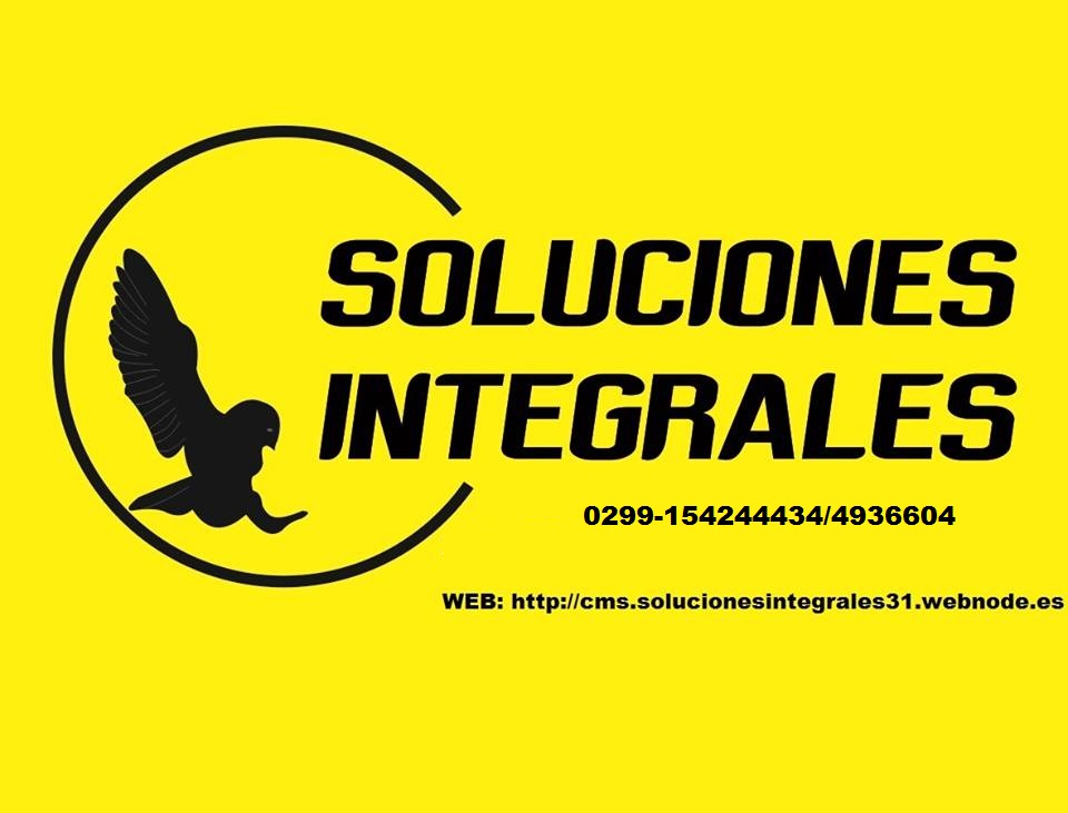 SOLUCIONES INTEGRALES